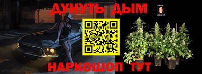прущие грибы Бузулук