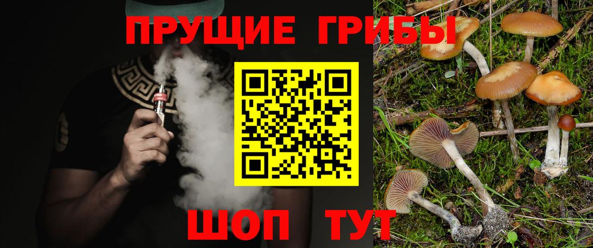 Галлюциногенные грибы прущие грибы  Галлюциногенные грибы Psilocybine cubensis  Вход с VPN  Ноябрьск 