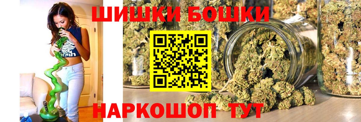 Каннабис сатива Ноябрьск